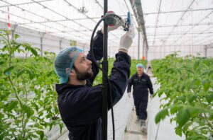 Do_IoT_TomatoWorld_feb2024_26